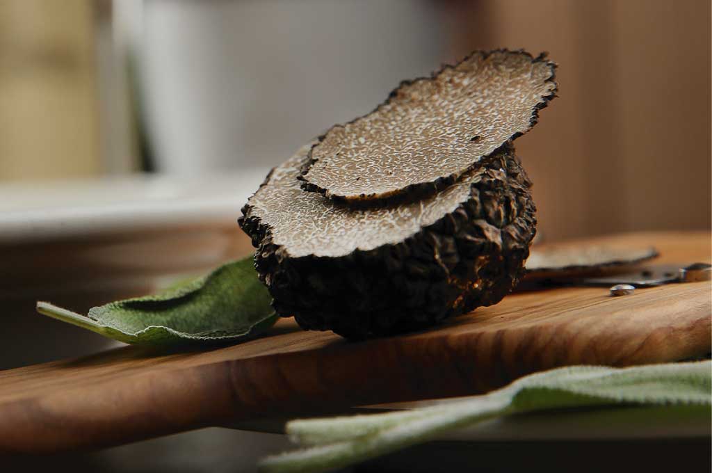Tartufo Nero di Calabria: origine, caratteristiche e prodotti tipici
