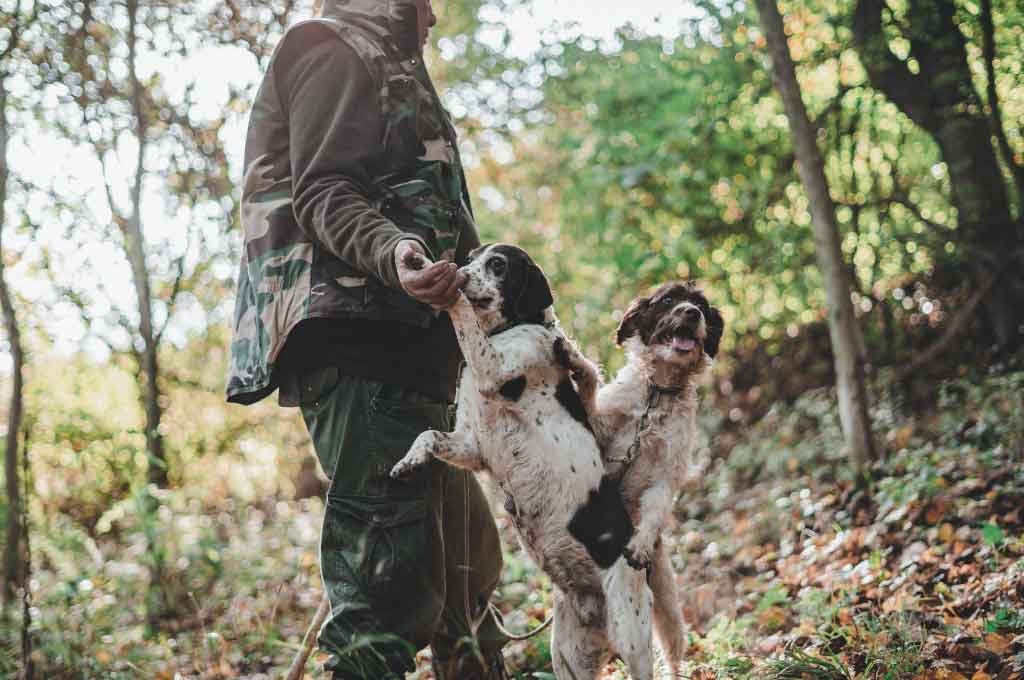I primi cavatori di tartufo del Pollino, una passione di famiglia