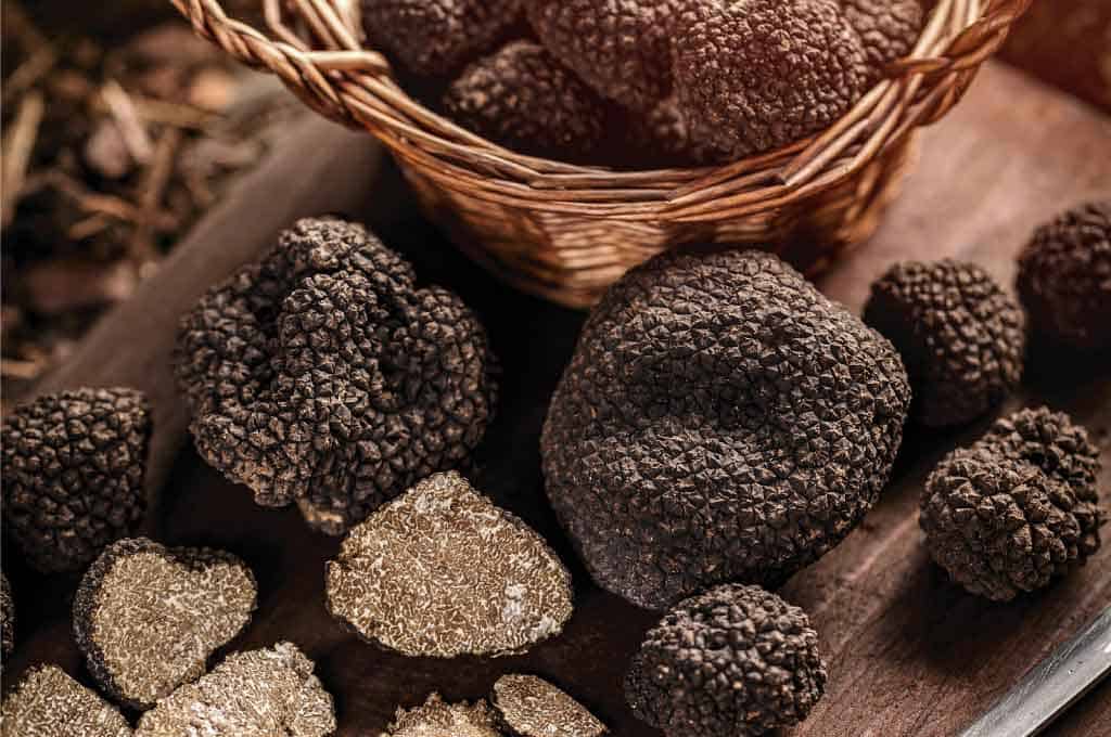 Tartufo nero di Calabria: cos’è, dove cresce e usi in cucina